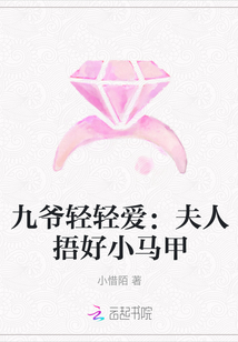 九爷轻轻爱：夫人捂好小马甲